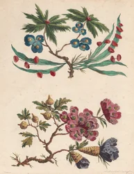 Två sprayer av imaginära blommor