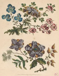 Två sprayer av imaginära blommor