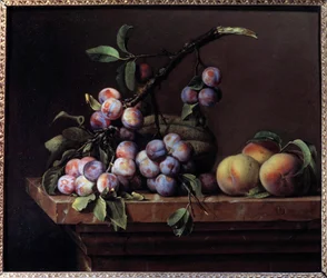 Plommon, squash och persikor på en marmorentablatur Målning av Pierre Dupuis (1610-1682) 1650 Sön. 0,51x0,6 m