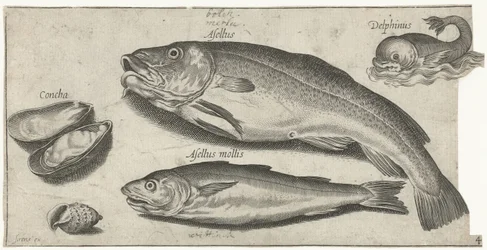 Torsk, vitling, en delfin och snäckor Fiske (serietitel) Piscium vivae-ikoner (serietitel)