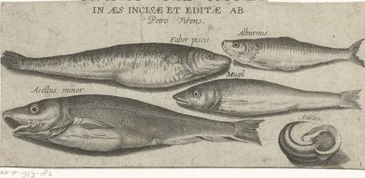 Skarpsill, karp, mulle, liten torsk och ett skal Fiske (serietitel) Piscivm vivae-ikoner (serietitel på objekt)