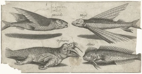 Flygande grymtande, knöl, blenny och en valross Fiske (serietitel) Piscivm vivae-ikoner (serietitel)