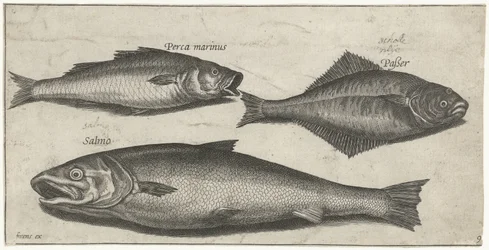 Havsabborre, tunga och en lax Fiske (serietitel) Piscium vivae-ikoner (serietitel)