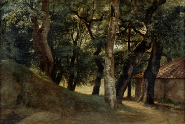 Forest of the Villa Borghese, sent 18-tidigt 1800-tal