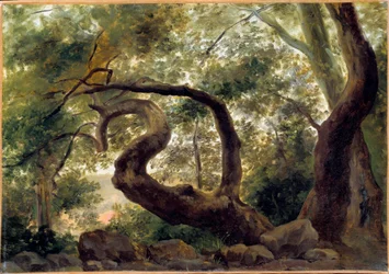 Under trä, träd med vridna grenar Målning av Pierre H. de Valenciennes (1750-1850) 1800-talet sön. 0,33x0,47 m