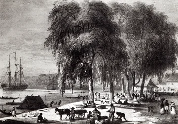 Fiskmarknad, Paramribo, från "Voyage a Surinam"
