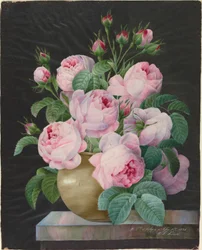 Rosa rosor i en vas