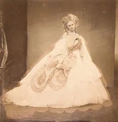 Bisi. Boudoir, grå sammetsklänning, rosa moire, rosa blommor, gråa blad av hennes mai,..., 1860-talet.