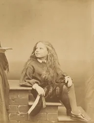 Bergsbestigaren, 1860-talet.
