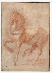 Studie av Bucephalus för reliefen "Alexander och Diogenes"