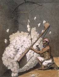 Kardande bomull, 1782.