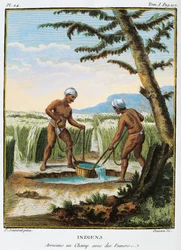 Indien, infödda bevattnar fält, från Voyage aux Indes et la Chine (Resa genom Indien och Kina) av Pierre Sonnerat