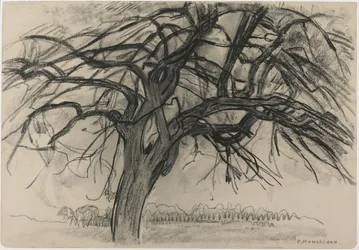 Preliminär studie för kvällen: Det röda trädet, 1908 (svart krita och kol på papper)