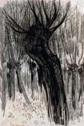 Willows, 1902-1904,