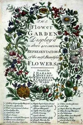 Frontispice till "The Flower Garden Displayed" av Robert Furber (ca 1674-1756), graverad av James Smith, pub. 1732 (färgat gravyr)