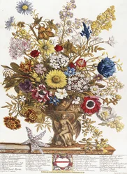 november, från "Twelve Months of Flowers"