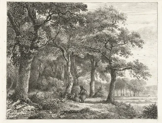 Skogslandskap med man med ryggsäck