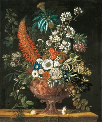 December, från The Twelve Months of Flowers, en blomkalender av stilleben, 1730
