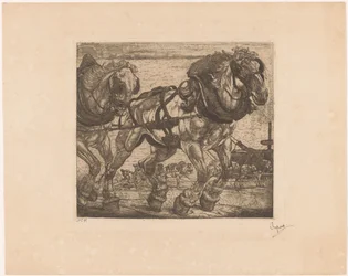 Draghästar vid Seine i Paris L