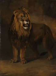 Ett lejon från kung Ludvig Napoleons menageri