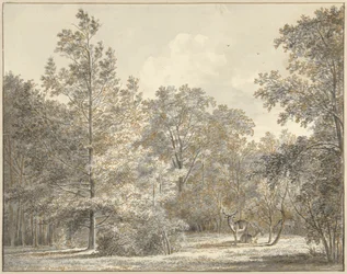Rådjur i en skog