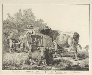 Kor och en mjölkpiga De Hollandsche Melk-koeijen/ Les vaches â lait hollandaises (titel på objekt)