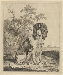 Sittande rapphönshund