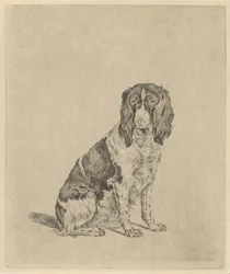 Sittande rapphönshund