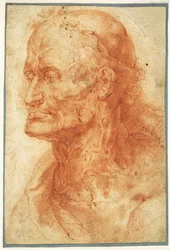 Studie av en gammal mans huvud, ca 1602.
