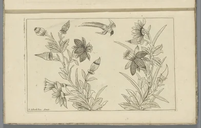Två blomsterbuskar och en svala Kinesiska blommor och fåglar (serietitel)