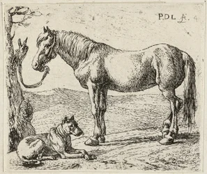Hästen och hunden