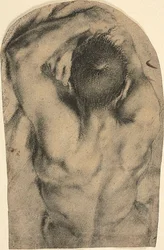 Halvlång liggande manlig nakenbild sedd bakifrån, ca 1590 (kol, inslag av oljefärg och spår av blyvitt på papper)