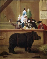 Noshörning: utställning av Clara, indisk noshörning. 1751. Venetianskt museum från 1700-talet. Ca