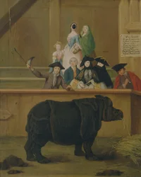Noshörningen, 1751