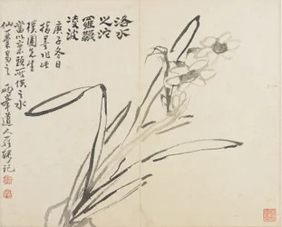 Landskap, blommor och fåglar: Narcissus, Qingdynastin