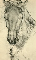 Huvud för en häst, c1420-1455, 1943.