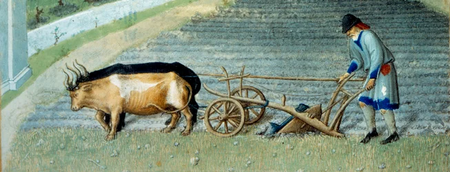 Mars: snö Jordbruksarbete, bonde som plöjer en åker. Detalj. Miniatyr i "The very rich hours of the Duke of Berry" av Pol De Limburg (1400-talet). Chantilly, Musee Conde