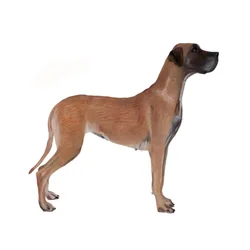 Great Dane, 2011 (akvarell  gouache på papper)