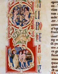 Adam och Eva nära Kunskapens träd, nedanför jagas de från miniatyrparadiset hämtat från "Gamla testamentet"" från klostret Santa Cruz i Coimbra i Portugal. Porto från 1100-talet, kommunalt bibliotek