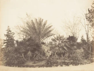 Pincian Garden, Rom, 1853-56.