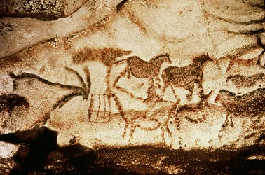 Hästar och rådjur från grottorna i Altamira, ca 15000 f.Kr. (grottmålning)