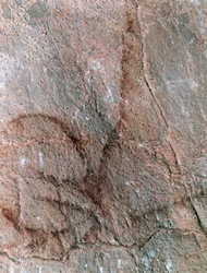 Figur "Antilop", klippmålning, paleolitisk period (ca 40000-12000 f.Kr.) (foto)
