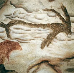 Cervid hällmålning, Cave de Lascaux, Dordogne, Frankrike, övre paleolitikum (Magdalenian) ca. 13000 år sedan (målning)