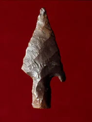 Egyptisk antikvitet: pilspets från platsen för Fayoum (Fayyum eller Fayum) i Egypten. Predynastisk period. Verone, Museo Civico di Storia Naturale, Italien