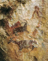 Jaktscen med ett rådjur och en stenbock (25000-15000 f.Kr.). Övre paleolitikum. El Perello, grottan i La Cabra Freixet.