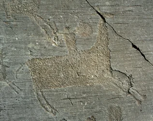 Förhistoria, Camunni-civilisationen, hällkonst: ristad klippa som föreställer en krigare till häst med en sköld. Perioden mellan yngre stenåldern och bronsåldern. Capo di Ponte, Parco nazionale delle incisioni rupestri di Naquane, Valcamonica, Val