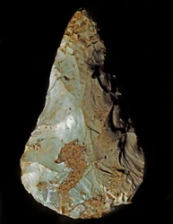 Förhistoria: Litisk tillverkning biface av Micoquian typ. Nedre paleolitikum. Verone, Museo Civico di Storia Naturale, Italien