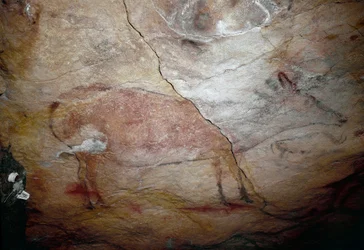 Förhistoria: "" ett rådjur"" klippmålning av övre paleolitikum (magdalenska) (mellan 16500 och 14000 år sedan) Stenåldersgrottan i Altamira, Santander, Spanien