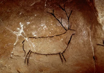 Förhistoria: "" ett rådjur"" klippmålning av övre paleolitikum (magdalenska) (mellan 16500 och 14000 år sedan) stenåldersgrottan i Las Chimeneas, Monte Castillo, Spanien - Förhistoria: ett rådjur. Övre paleolitisk grottmålning (magdalensk) (16 500 och 14 0
