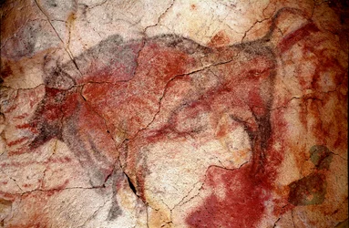 Förhistoria: "" bison i vila"" hällmålning av övre paleoloitikum (magdalenska) (mellan 16500 och 14000 år sedan) stenålderns bisongrotta, Altamira, Santander, Spanien
